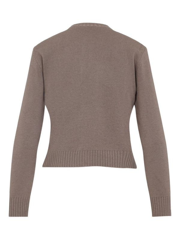 Fabiana Filippi Sweaters Brown