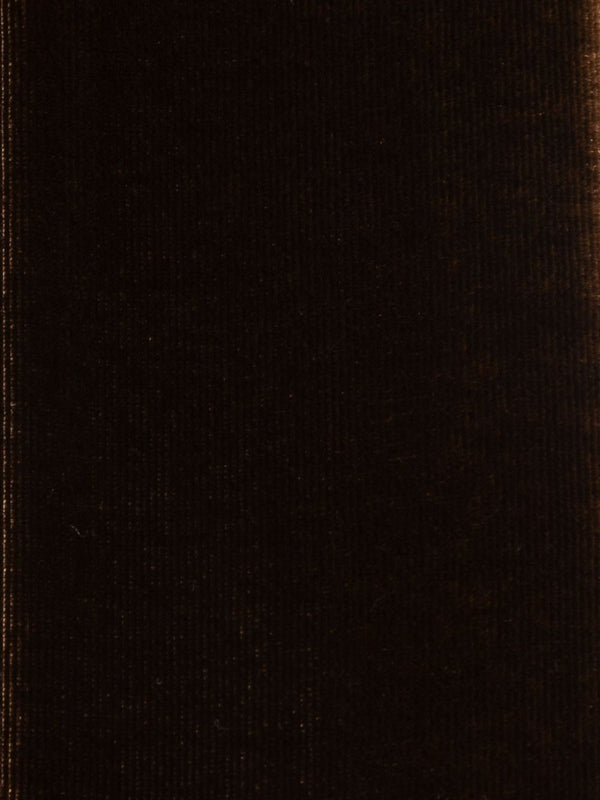 Emporio Armani Scarfs Brown