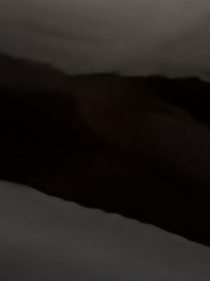 Stella McCartney With Heel Black