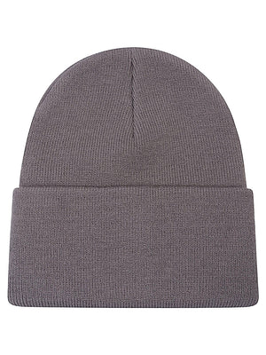 CARHARTT WIP MAIN Hats Grey