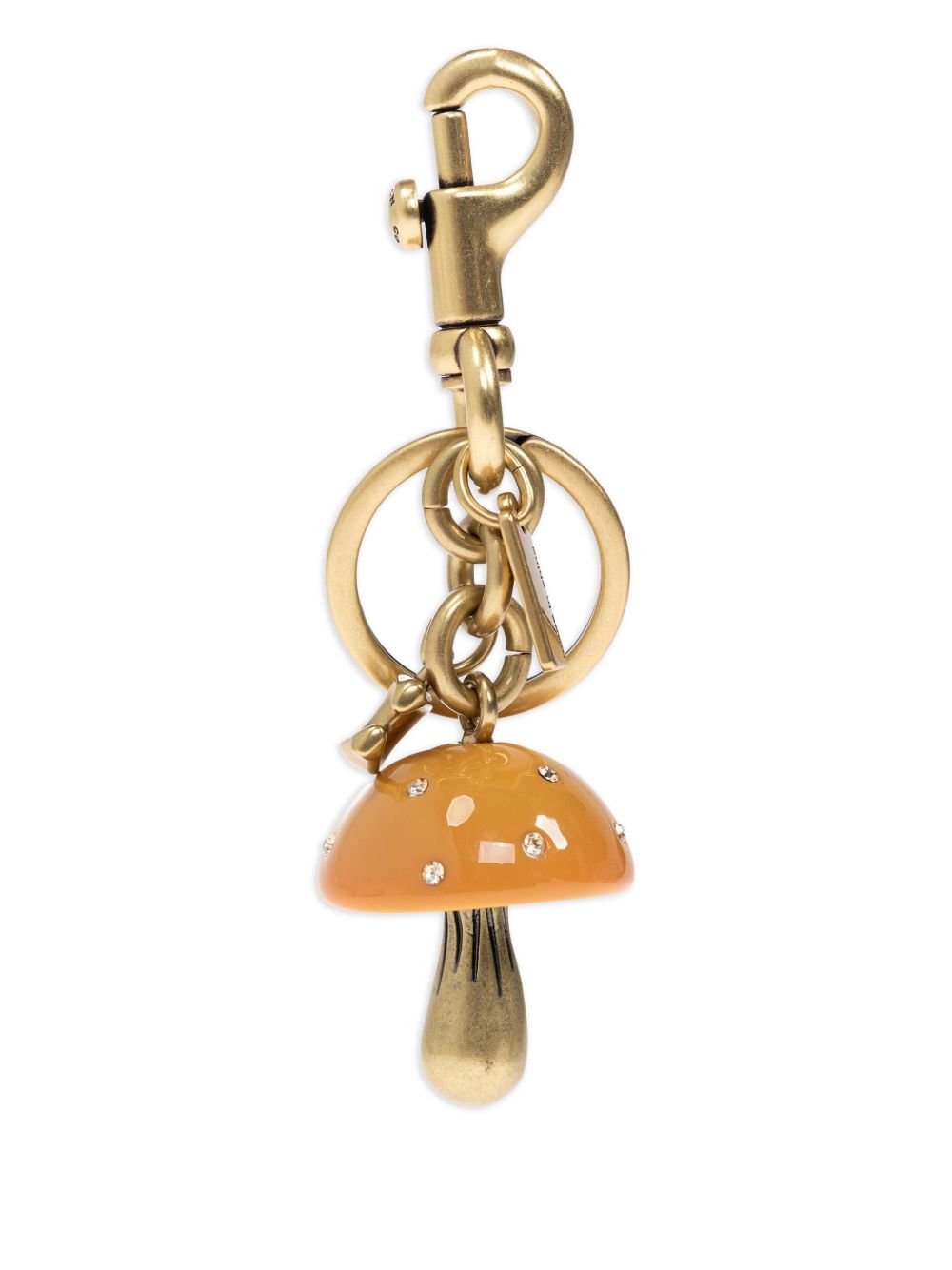 Coach Accessories Golden