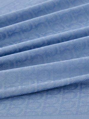 Ferragamo Scarfs Clear Blue