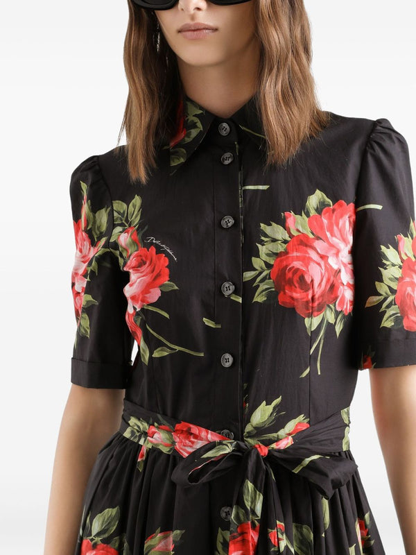 Dolce & Gabbana- floral-print belted midi dress in black cotton