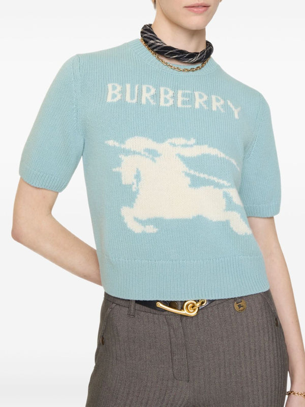 Burberry T-shirts and Polos Clear Blue