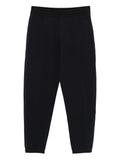 Emporio Armani Trousers NAVY