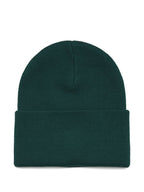 CARHARTT WIP MAIN Hats CAMEL