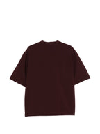 Emporio Armani T-shirts and Polos BROWN