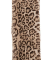 Apparis Kai Leopard Scarf