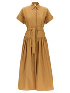 Max Mara Agoario Dress