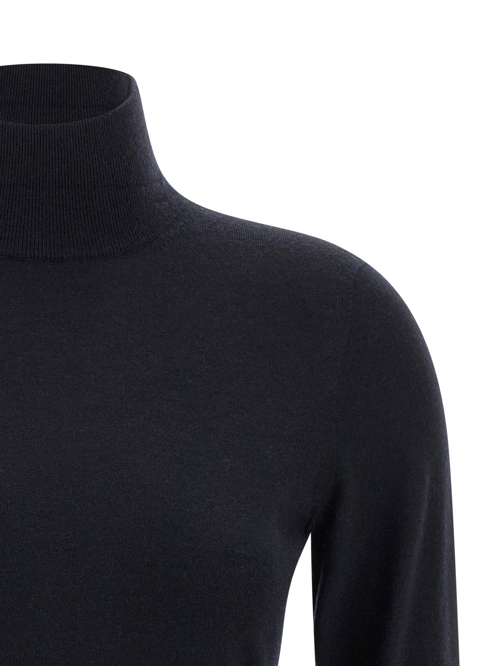 Max Mara Meana Turtleneck