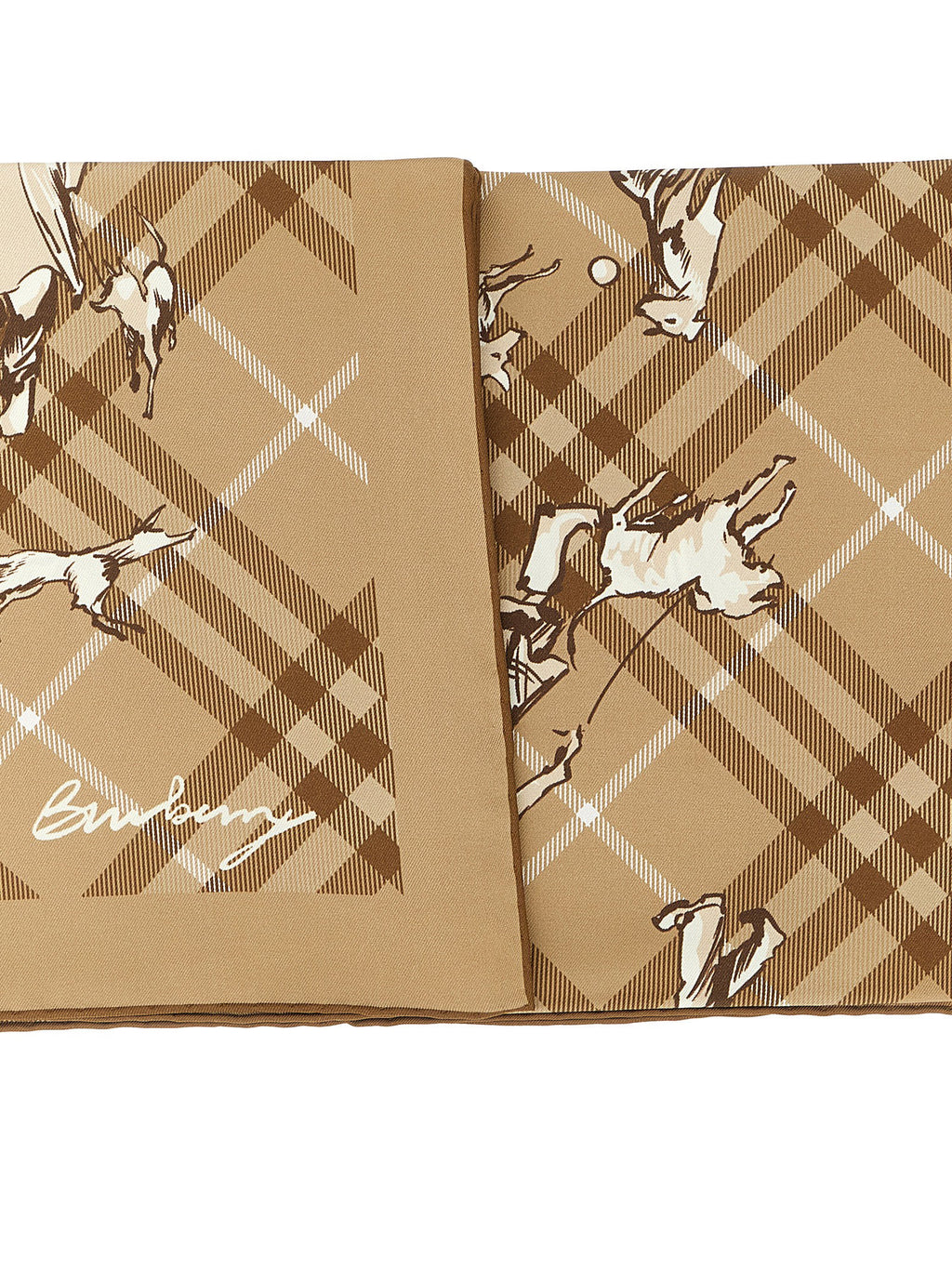 Burberry Check Mates Scarf