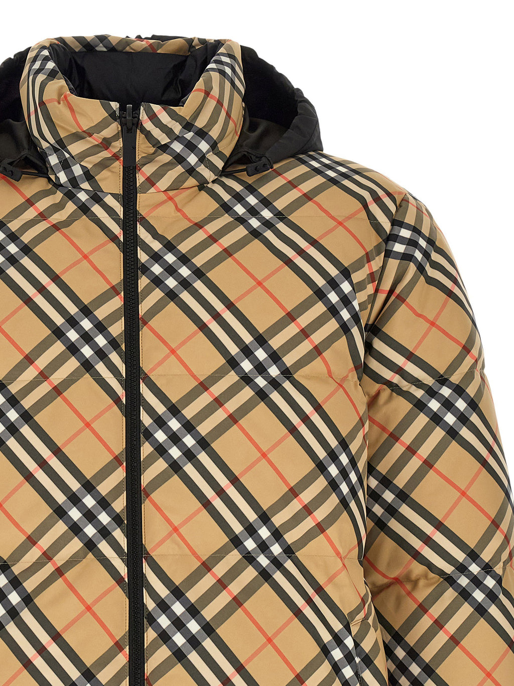 Burberry Snowdon Down Jacket