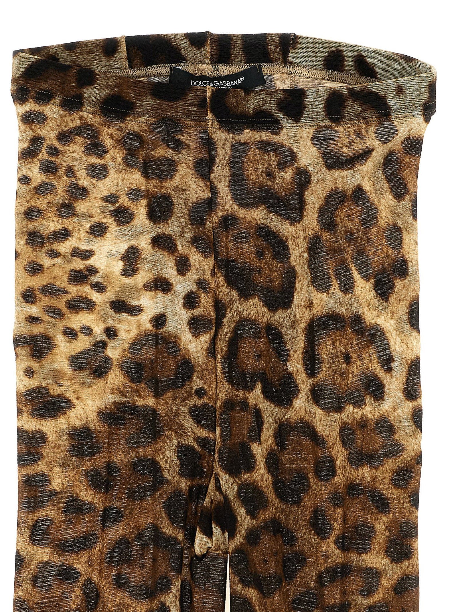 Dolce & Gabbana Animalier Tights