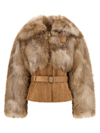 Elisabetta Franchi Bustier And Belted Jacket