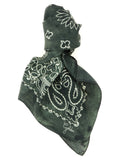 Golden Goose Paisley Scarf