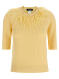 Fabiana Filippi Feather Sweater