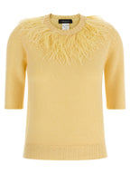 Fabiana Filippi Feather Sweater