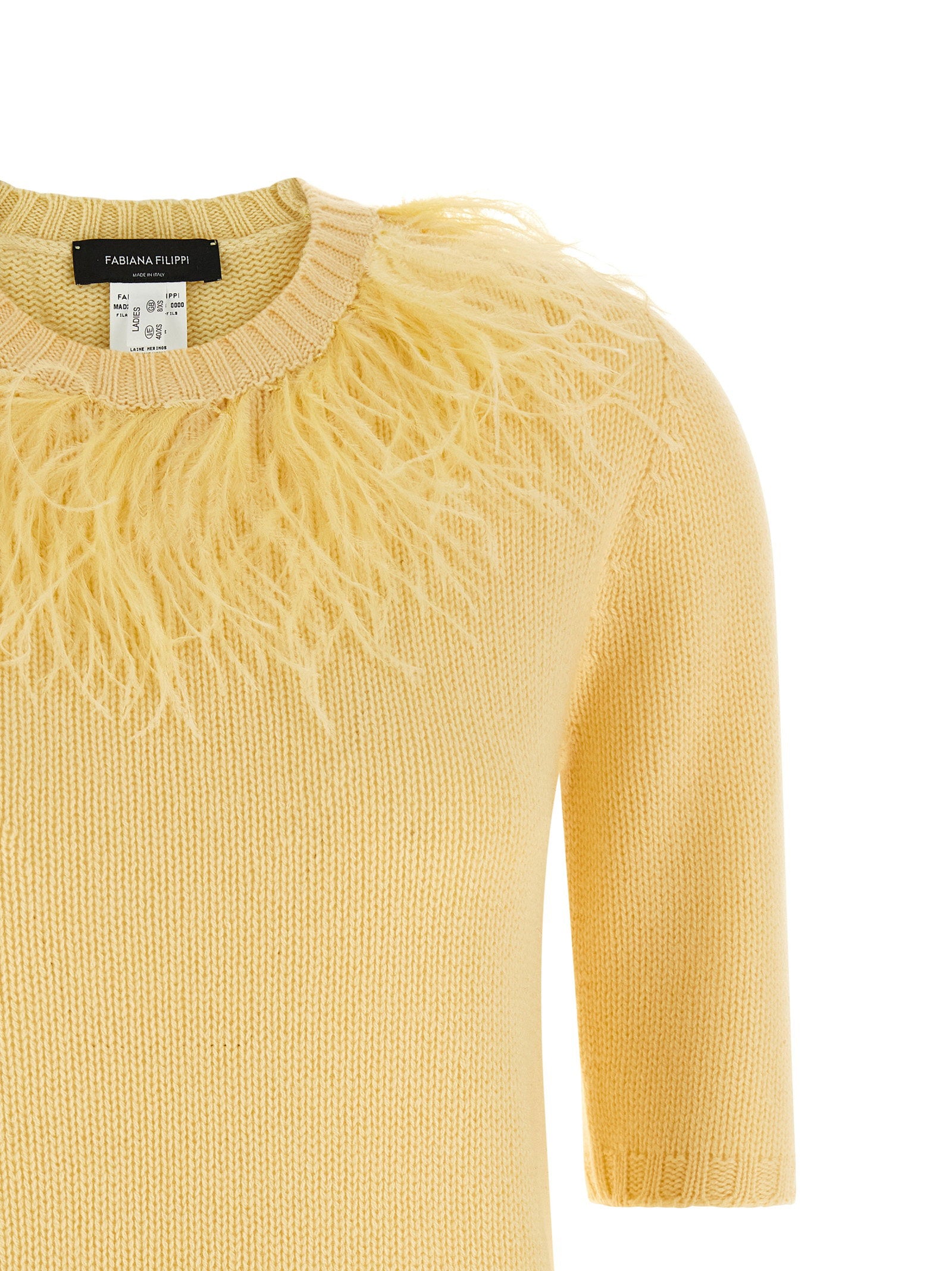 Fabiana Filippi Feather Sweater