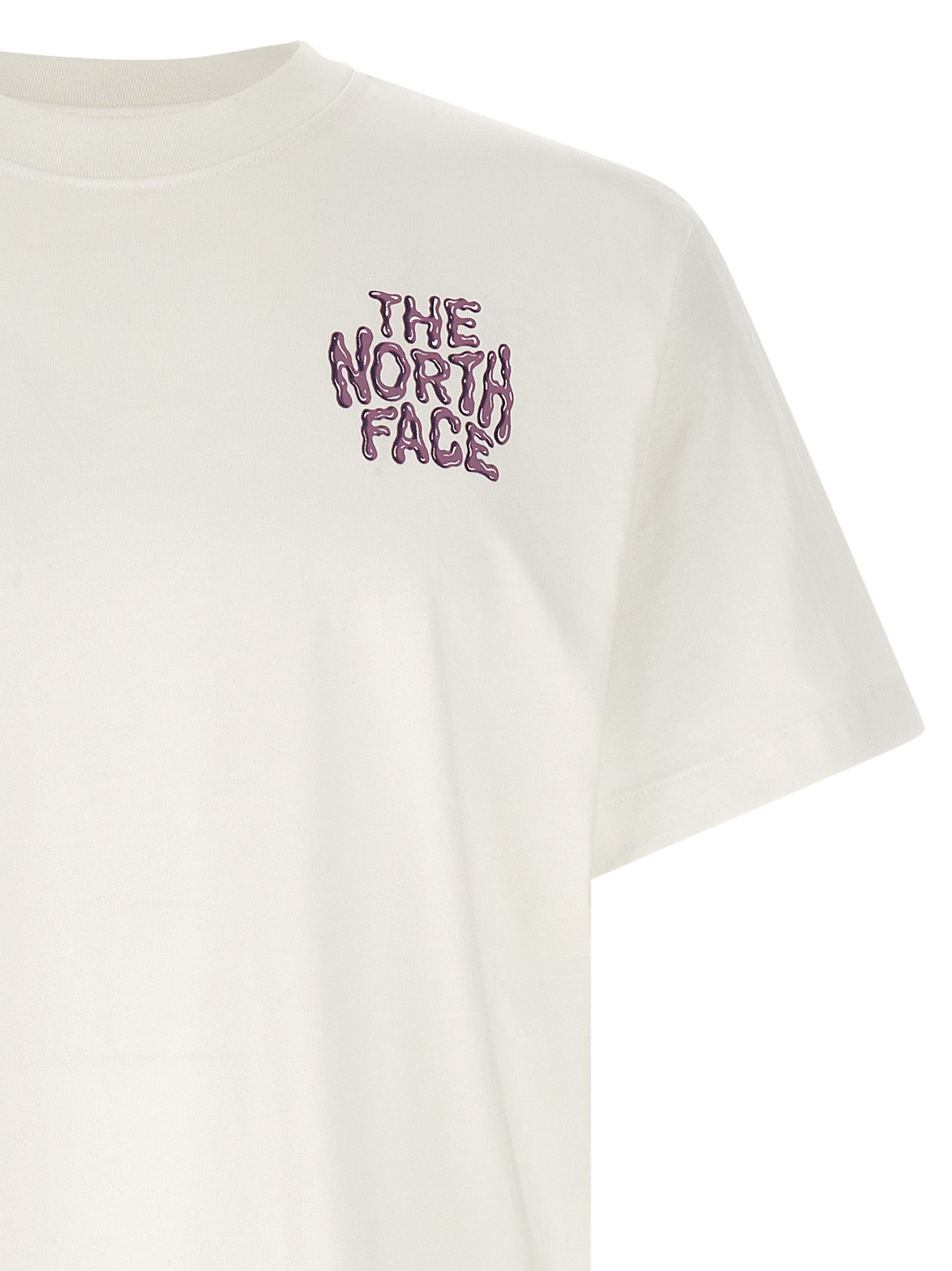The North Face Drip Logo T-shirt