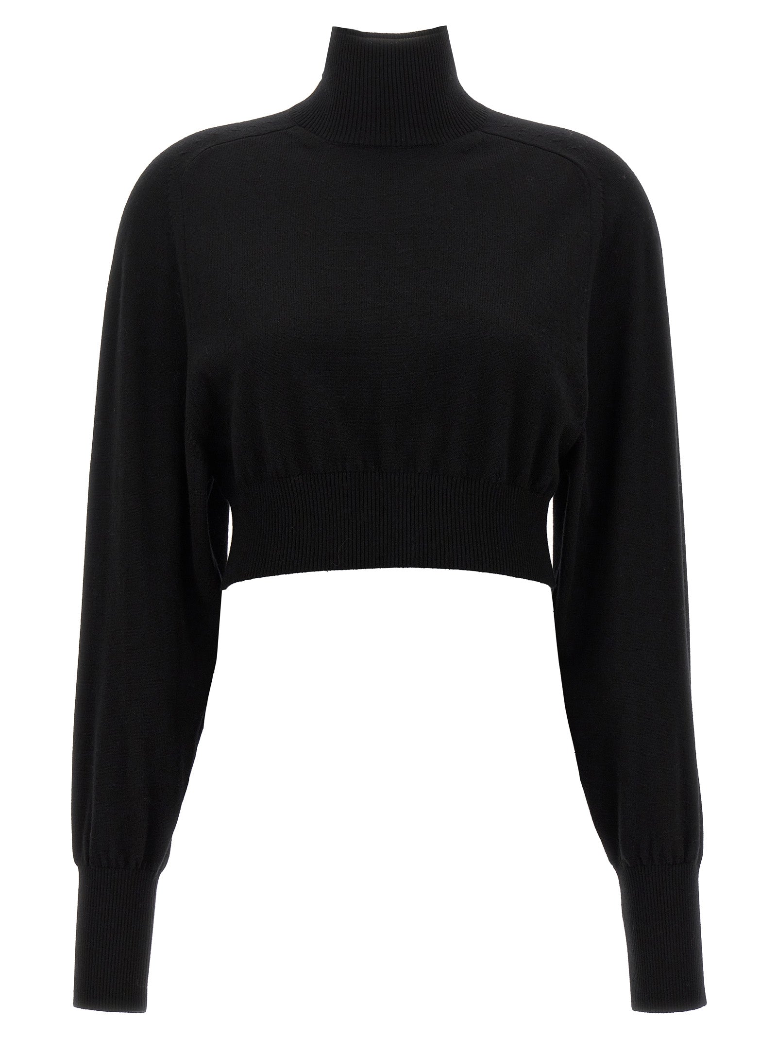 Sportmax Ululato Turtleneck Sweater